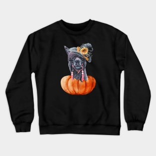 Cute Llama Halloween LLama Alpaca Halloween Pumpkin Funny Crewneck Sweatshirt